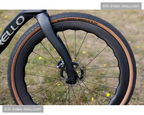 技术分析：冠军车手的战车配置详解，为何选择独特的齿比搭配